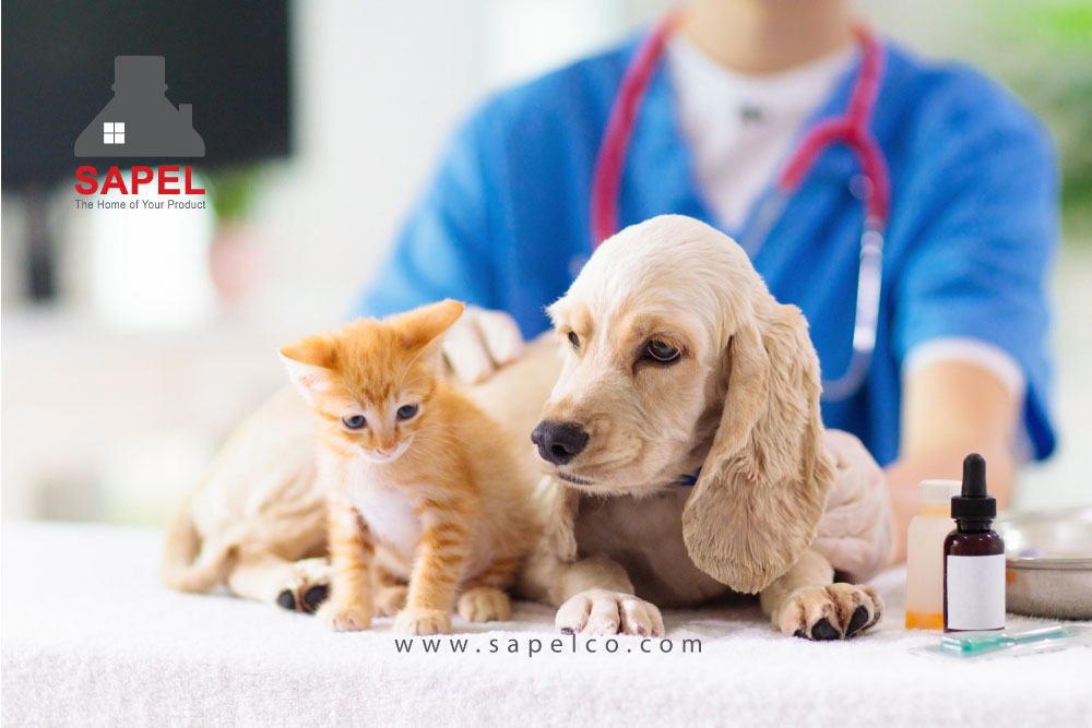 مولتی ویتامین برای حیوانات خانگی