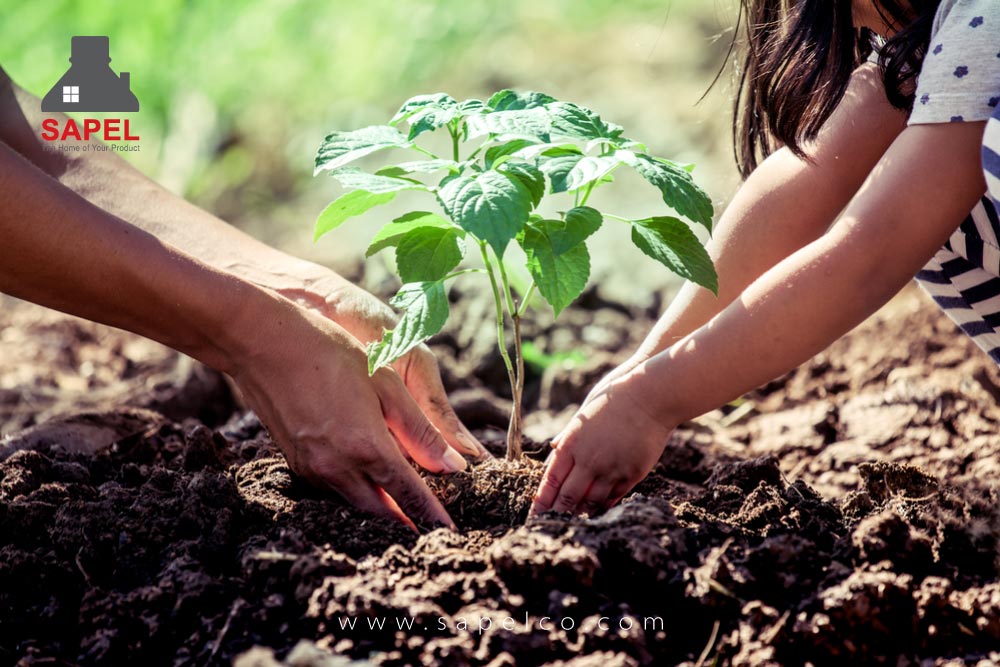 کود یکی از مهم‌ترین افزودنی‌هایی است که جهت تقویت خاک و رشد بهتر گیاه به‌کار می‌رود. کشاورزان از انواع کود برای بالا بردن کیفیت رشد گیاه استفاده می‌کنند که یکی از آن‌ها کود شوک است.